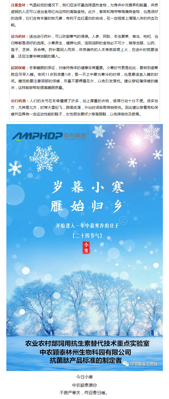 2022年（第2期）：小寒今日至，年味已冒頭_04