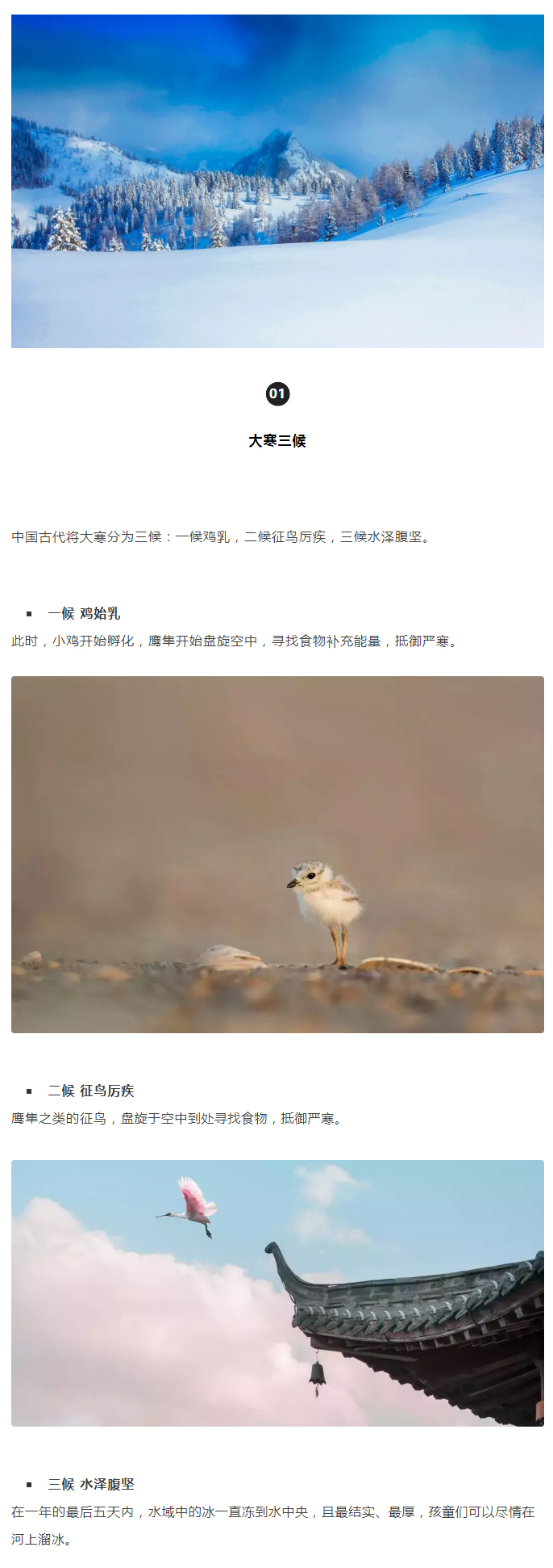 2022年（第5期）：大寒：愿您安暖幸福，歲歲平安_02