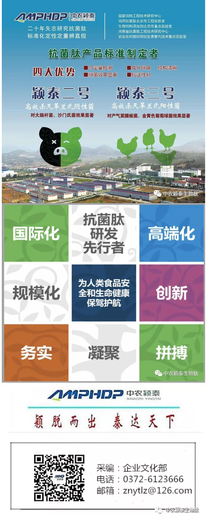 2022年（第5期）：大寒：愿您安暖幸福，歲歲平安_08