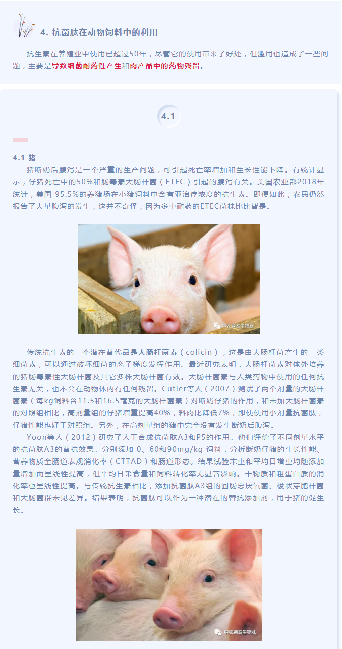 抗菌肽作為替抗飼料添加劑對(duì)動(dòng)物生產(chǎn)、食品安全和公共衛(wèi)生影響的綜述（下）_01