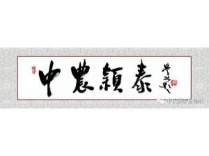 2021年：工作動(dòng)態(tài)，中農(nóng)穎泰工會(huì)順利換屆