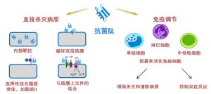 泰倍健——新型免疫增強(qiáng)劑，構(gòu)建核心抗病力